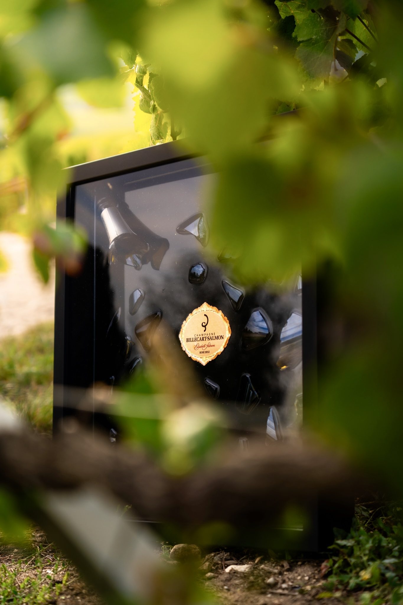 Cadre Éclats de Champagne dans les vignes, entre les feuilles