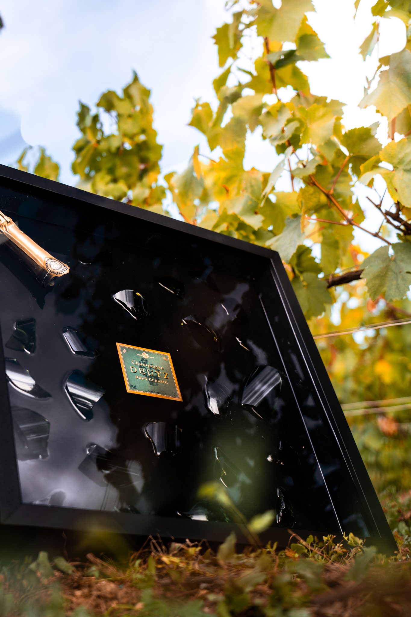 Cadre Éclats de Champagne dans les vignes